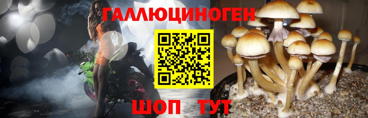 Галлюциногенные грибы GOLDEN TEACHER  Вход с VPN  купить наркотик  Еманжелинск 